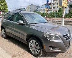 Volkswagen Tiguan 2.0 TSI 2008 - Bán xe Volkswagen Tiguan 2.0 TSI năm sản xuất 2008, màu xám, xe nhập giá 499 triệu tại Tp.HCM