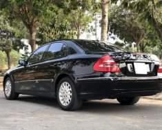 Mercedes-Benz E class E240 2004 - Cần bán xe Mercedes E240 sản xuất 2004, màu đen chính chủ giá 305 triệu tại Tp.HCM