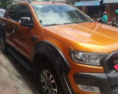 Ford Ranger  Wildtrack 2017 - Bán Ford Ranger Wildtrack năm sản xuất 2017, nhập khẩu nguyên chiếc giá 840 triệu tại Bình Định