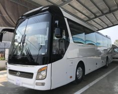 Hyundai Universe  Advanced  2019 - Bán xe Hyundai Universe Advanced 2019, thiết kế hiện đại, phong cách Châu Âu, có sẵn xe và hồ sơ giá 3 tỷ 480 tr tại Đà Nẵng