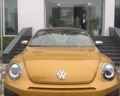 Volkswagen Beetle Dune 2018 - Bán ô tô Volkswagen Beetle Dune đời 2018, màu vàng, nhập khẩu giá 1 tỷ 499 tr tại Hà Nội