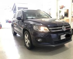 Volkswagen Tiguan 2016 - Bán ô tô Volkswagen Tiguan đời 2016, nhập khẩu nguyên chiếc giá 990 triệu tại Tp.HCM