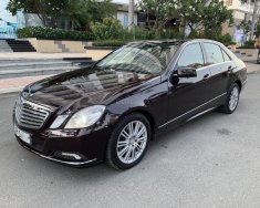 Mercedes-Benz E class E300 2009 - Xe Mercedes E300 đời 2010, màu nâu giá 775 triệu tại Tp.HCM