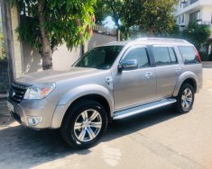 Ford Everest AT 2010 - Bán Ford Everest AT sản xuất 2010, màu xám   giá 490 triệu tại Tp.HCM