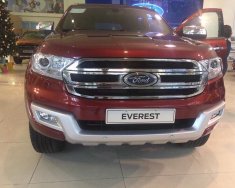Ford Everest 2017 - Everest 2019 giá cực sốc, chỉ từ 999 triệu đồng giá 999 triệu tại Tuyên Quang