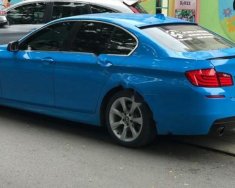 BMW 5 Series 528i 2010 - Bán BMW 5 Series 528i năm sản xuất 2010, màu xanh, xe mới sơn lại màu xanh biển giá 958 triệu tại Hà Nội