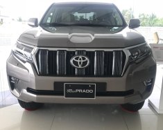 Toyota Land Cruiser Prado  2019 - Bán xe Toyota Land Cruiser Prado sản xuất 2019, nhập khẩu nguyên chiếc giá 2 tỷ 340 tr tại Tiền Giang
