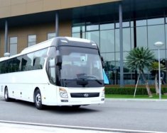 Hyundai Universe 2019 - Cần bán xe Hyundai Universe sản xuất năm 2019, màu trắng giá 3 tỷ 180 tr tại Hà Nội