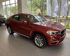 BMW X6 xDrive35i 2018 - Cần bán BMW X6 xDrive35i đời 2019, màu đỏ, nhập khẩu giá 3 tỷ 853 tr tại Tp.HCM