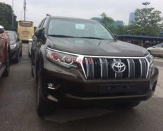 Toyota Prado    VX 2.7L   2019 - Bán xe Toyota Prado VX 2.7L đời 2019, màu nâu giá 2 tỷ 340 tr tại Hà Nội