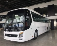 Hyundai Universe   2019 - Bán Hyundai Universe đời 2019, màu trắng, nhập khẩu Hàn Quốc giá 3 tỷ 130 tr tại Tp.HCM