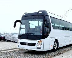 Hyundai Universe   2019 - Bán Hyundai Universe 2019, màu trắng, đầy đủ màu, đầy đủ phiên bản, xe giao ngay giá 3 tỷ 300 tr tại Hà Nội