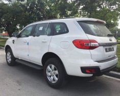 Ford Everest 2019 - Bán ô tô Ford Everest 2019, màu trắng, nhập khẩu giá 899 triệu tại Bắc Kạn