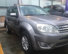 Ford Escape XLS 2010 - Bán Ford Escape XLS sản xuất 2010, màu xám (ghi), 375 triệu giá 375 triệu tại Tp.HCM