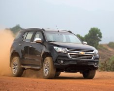 Chevrolet Trail Blazer 2019 - Bán xe Chevrolet Trailblazer 2019, nhập khẩu Thái Lan, hỗ trợ vay 80% giá 966 triệu tại Đà Nẵng