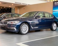 BMW 5 Series  530i  2019 - Bán BMW 5 Series 530i sản xuất 2019, màu xanh lam, nhập khẩu   giá 3 tỷ 69 tr tại Tp.HCM