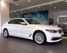 BMW 5 Series  530i  2019 - Bán BMW 5 Series 530i đời 2019, màu trắng, xe nhập giá 2 tỷ 991 tr tại Tp.HCM