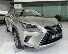 Lexus NX 300 2019 - Bán xe Lexus NX 300 sản xuất 2019, màu vàng, nhập khẩu, sẵn xe giao ngay giá 2 tỷ 510 tr tại Tp.HCM