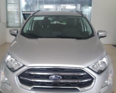 Ford EcoSport 2019 - Cần bán xe Ford EcoSport sản xuất 2019 giá 545 triệu tại Hưng Yên