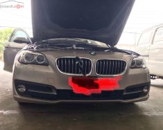 BMW 5 Series 520i 2015 - Bán BMW 520i sản xuất 2015, màu vàng, xe nhập giá 1 tỷ 400 tr tại Tp.HCM