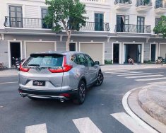Honda CR V 2019 - Bán xe Honda CR V đời 2019, màu bạc, nhập khẩu giá 983 triệu tại Long An