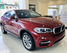 BMW X6 2019 - Bán BMW X6 35i Coupe, màu đỏ, xe nhập khẩu Đức, hầm hố, thể thao giá 3 tỷ 969 tr tại Tp.HCM