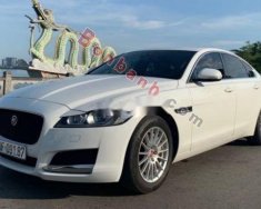 Jaguar XF 2017 - Cần bán xe Jaguar XF năm sản xuất 2017, màu trắng, nhập khẩu nguyên chiếc giá 1 tỷ 999 tr tại Hà Nội