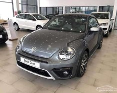 Volkswagen Beetle   Dune  2019 - Bán Volkswagen Beetle Dune năm 2019, màu xám, nhập khẩu   giá 1 tỷ 499 tr tại Tp.HCM