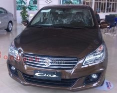 Suzuki Ciaz 2019 - Bán xe Suzuki Ciaz năm sản xuất 2019, màu nâu, xe nhập giá 499 triệu tại Thái Nguyên