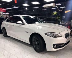 BMW 5 Series 520i 2015 - Bán BMW 5 Series 520i năm sản xuất 2015, màu trắng giá 1 tỷ 300 tr tại Hà Nội