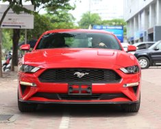 Ford Mustang   2019 - Ford Mustang 2.3 EcoBoost Fastback 2019, màu đỏ giá 3 tỷ 140 tr tại Hà Nội