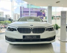 BMW 5 Series 2019 - BMW 5 Series 520i, màu trắng, nhập khẩu Đức, sang trọng, đẳng cấp giá 2 tỷ 389 tr tại Tp.HCM