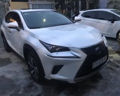 Lexus NX 300T 2018 - Bán NX300T SX 2018, mẫu xe 2019, xe đi 11.000km bao check hãng giá 2 tỷ 500 tr tại Tp.HCM