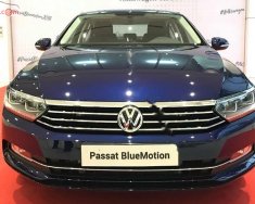 Volkswagen Passat Bluemotion 2019 - Bán Volkswagen Passat Bluemotion SX 2019, màu xanh lam, nhập khẩu nguyên chiếc giá 1 tỷ 480 tr tại Khánh Hòa