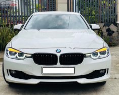 BMW 3 Series 320i 2014 - Bán BMW 3 Series 320i sản xuất 2014, màu trắng, nhập khẩu giá 950 triệu tại Tp.HCM