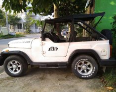 Jeep CJ 2005 - Cần bán lại xe Jeep CJ năm 2005, hai màu giá 100 triệu tại Bình Dương