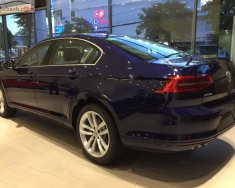 Volkswagen Passat 2019 - Bán ô tô Volkswagen Passat 2019, màu xanh lam, xe nhập giá 1 tỷ 480 tr tại Khánh Hòa