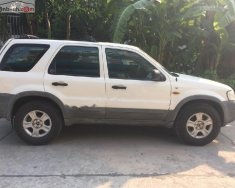 Ford Escape 3.0 V6 2002 - Bán Ford Escape 3.0 V6 đời 2002, màu trắng số tự động giá 159 triệu tại Bắc Giang