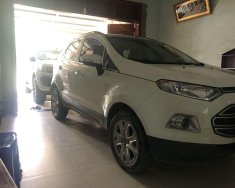 Ford EcoSport 2016 - Bán Ford EcoSport năm sản xuất 2016, màu trắng, giá tốt giá 450 triệu tại Quảng Nam