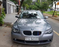 BMW 5 Series 2007 - Bán xe BMW 5 Series đời 2007, nhập khẩu nguyên chiếc giá 425 triệu tại Tp.HCM