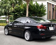 BMW 5 Series   2013 - Bán BMW 520i 2013, đời 2014, nhập khẩu nguyên chiếc giá 1 tỷ 130 tr tại Tp.HCM