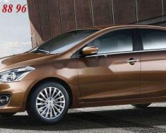 Suzuki Ciaz 2019 - Bán xe Suzuki Ciaz năm sản xuất 2019, xe nhập, 499 triệu giá 499 triệu tại Đà Nẵng