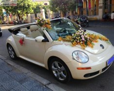 Bán ô tô Volkswagen New Beetle 2.5 AT năm sản xuất 2005, màu kem (be), xe nhập   giá 410 triệu tại Đà Nẵng