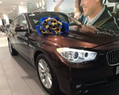 BMW 5 Series 2017 - Bán xe BMW 5 Series 2017, màu nâu, xe còn nguyên bản giá 2 tỷ 300 tr tại Tp.HCM