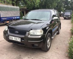 Ford Escape   2003 - Bán Ford Escape năm sản xuất 2003, nhập khẩu nguyên chiếc giá 175 triệu tại Bắc Giang