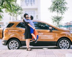 Ford EcoSport Titanium 1.5L AT 2019 - Cần bán Ford EcoSport 1.5 Titanium full option năm sản xuất 2019, đủ màu giao ngay, giá tốt - LH 0974286009 giá 585 triệu tại Bắc Ninh