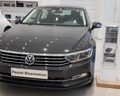 Volkswagen Passat 2018 - Cần bán lại xe Volkswagen Passat 2018 xe còn mới giá 1 tỷ 480 tr tại Tây Ninh