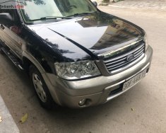 Ford Escape 2005 - Bán Ford Escape đời 2005, nhập khẩu nguyên chiếc chính hãng giá 195 triệu tại Thanh Hóa