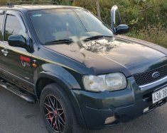 Ford Escape XLT 2003 - Xe Ford Escape XLT sản xuất năm 2003, màu xanh lam giá 130 triệu tại Gia Lai