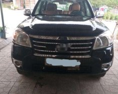 Ford Everest MT 2010 - Bán Ford Everest MT sản xuất 2010, 385tr giá 385 triệu tại Lâm Đồng